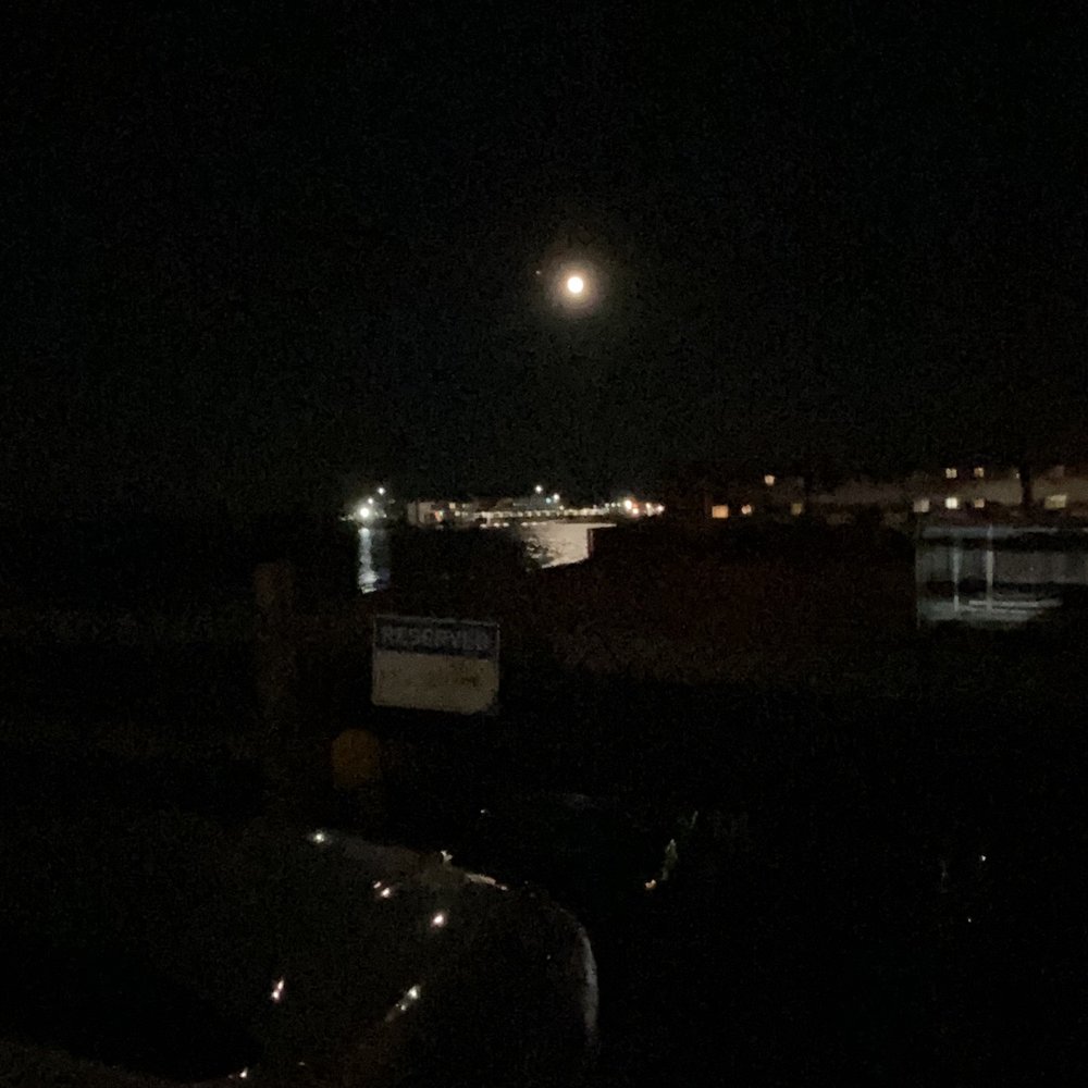 One Willow - Moon over Sandy Hook - Seafood Near Me - Highlands, New Jersey