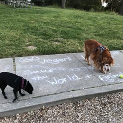Creature Comfort Holistic Veterinary Center