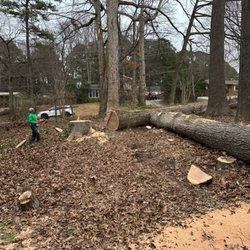 Alonzo Tree Services