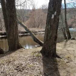 River Park - River view from one part of the walking trail.