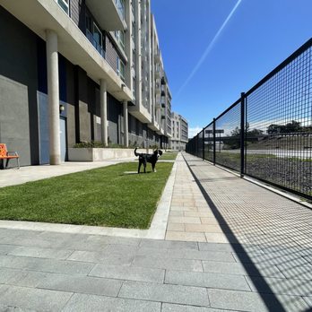 The Q Playa - Dog walk - Apartments Near Me - Los Angeles, California The Q Playa - Dog walk - Apartments Near Me - Los Angeles, California