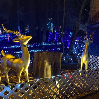 Bright Nights At Stanley Park - Kids Activities Near Me - Vancouver, British Columbia Bright Nights At Stanley Park - Kids Activities Near Me - Vancouver, British Columbia