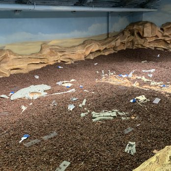 Chicago Children's Museum - Let's find some fossils! - Children's Museums Near Me - Chicago, Illinois