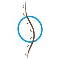Total Body Chiropractic