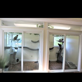 Cat's Meow Resort - This is the Sarengeti suites. They are the largest suites available and can fit up to three cats extremely comfortably. - Pet Boarding Near Me - Avon, Connecticut