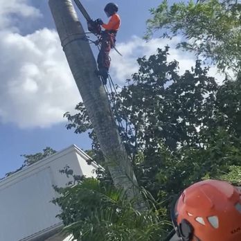 J&A Tree Chompers - Tree Services Near Me