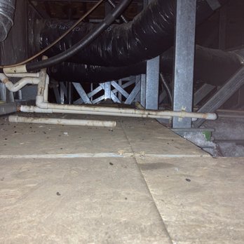 Pro Active Pest Control - Rat scat found in the crawl space around the hvac deck. - Pest Control Near Me - Tracy, California