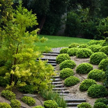 Two Brothers Tree Services and Landscaping - steps leading up to a garden - Landscaping Near Me - Shelton, Washington Two Brothers Tree Services and Landscaping - steps leading up to a garden - Landscaping Near Me - Shelton, Washington