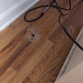 Mac Properties - Chicago - Very large cockroach surrounded by a ton of bug spray. I'm terrified of bugs. - Apartments Near Me - Chicago, Illinois