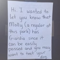 Maddox Park