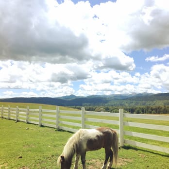 Rancho Alegre Lodge - It's a pony! - Bed & Breakfast Near Me - Jackson, Wyoming Rancho Alegre Lodge - It's a pony! - Bed & Breakfast Near Me - Jackson, Wyoming