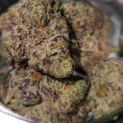 Story Cannabis