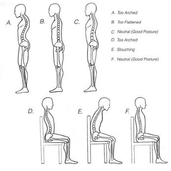 Healing Arts Pilates - posture poster - Pilates Near Me - Seneca, South Carolina Healing Arts Pilates - posture poster - Pilates Near Me - Seneca, South Carolina
