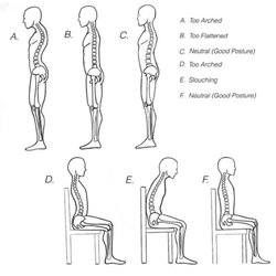 Healing Arts Pilates - Posture poster