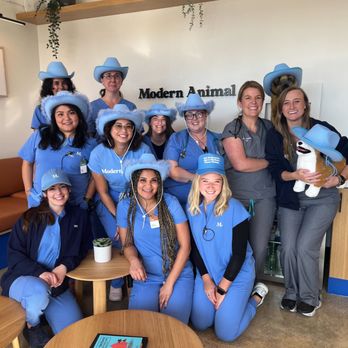 Modern Animal Addison - Veterinarians Near Me - Dallas, Texas Modern Animal Addison - Veterinarians Near Me - Dallas, Texas