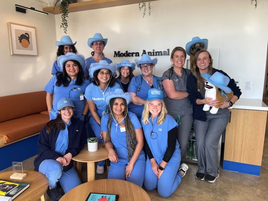 MODERN ANIMAL ADDISON - Updated June 2026 - 17 Photos & 19 Reviews ...