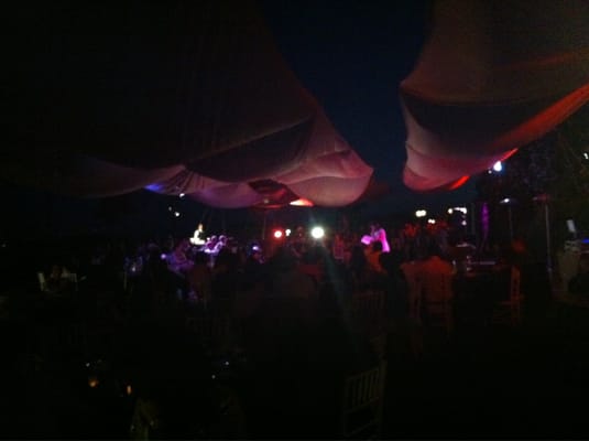 Patland Estate Vineyards by null