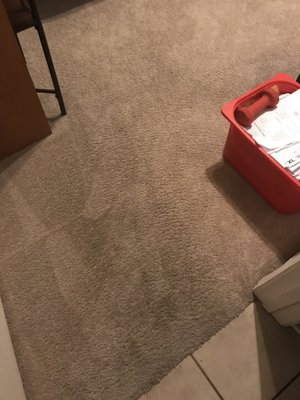 A ONE CARPET CLEANING - Updated July 2024 - 175 Photos & 136 Reviews