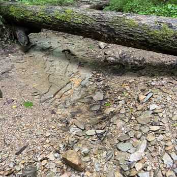 Brown County State Park - Lovely limestone creek beds. - Hiking Near Me - Nashville, Indiana Brown County State Park - Lovely limestone creek beds. - Hiking Near Me - Nashville, Indiana