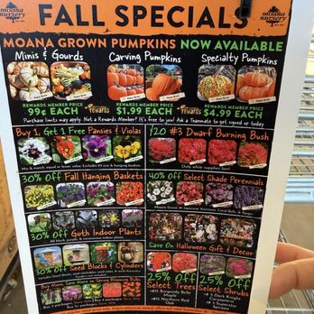 Moana Nursery - Fall Specials - Nurseries & Gardening Near Me - South Reno, Nevada Moana Nursery - Fall Specials - Nurseries & Gardening Near Me - South Reno, Nevada