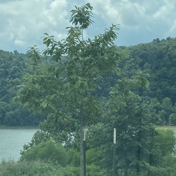 Riverview Park - Parks Near Me - Louisville, Kentucky