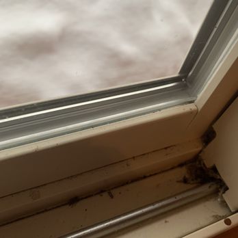 Izaak Walton Restaurant - Bugs in window seal - Hotels Near Me - Essex, Montana