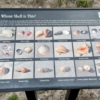 Myrtle Beach State Park - She'll information - Parks Near Me - Myrtle Beach, South Carolina Myrtle Beach State Park - She'll information - Parks Near Me - Myrtle Beach, South Carolina