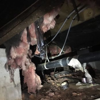 Dixon Home Inspection - Damaged Insulation and plumbing lines not properly secured. - Home Inspectors Near Me Dixon Home Inspection - Damaged Insulation and plumbing lines not properly secured. - Home Inspectors Near Me
