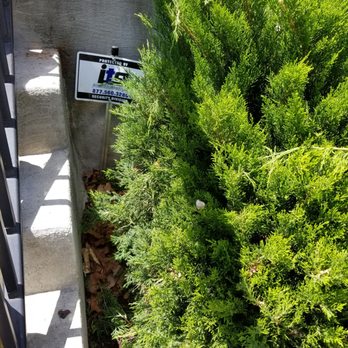 Lawn Love Lawn Care - Uneven trimming - Landscaping Near Me - Baltimore, Maryland