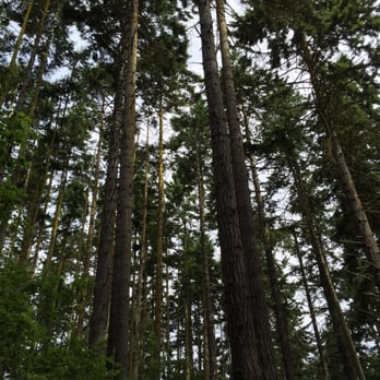 Dungeness National Wildlife Refuge - Parks Near Me - Sequim, Washington Dungeness National Wildlife Refuge - Parks Near Me - Sequim, Washington