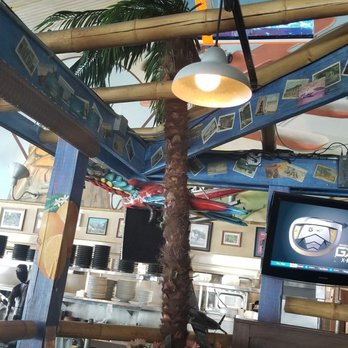 Pilot Pete's - Palm tree - American Near Me - Schaumburg, Illinois