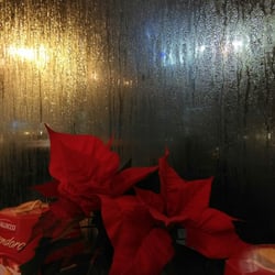 Dall'Italia Pasta Bar - Christmassy poinsettia in the windows (steamy from the fresh pasta and sauces being prepared in the kitchen).