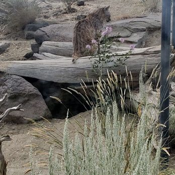 Animal Ark - Zoos Near Me - Reno, Nevada