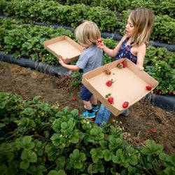 Waller Family Farm - Kid friendly.