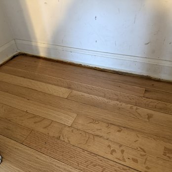 Functional Floors - Sanded and finished without removing shoe molding leaving old stain - Flooring Near Me - Livonia, Michigan