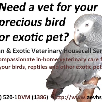 Avian & Exotic Veterinary - Veterinarians Near Me Avian & Exotic Veterinary - Veterinarians Near Me
