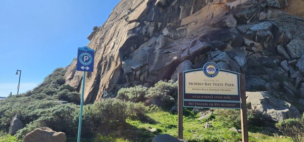 Morro Bay State Park by null