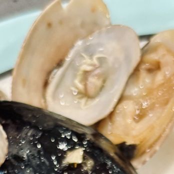 Gohan A.Y.C.E Buffet - I dunno a small alien? What the Hell is that?! I found in my clams! Looks like a giant Tick! Or a baby crab... - Buffets Near Me - Tracy, California Gohan A.Y.C.E Buffet - I dunno a small alien? What the Hell is that?! I found in my clams! Looks like a giant Tick! Or a baby crab... - Buffets Near Me - Tracy, California
