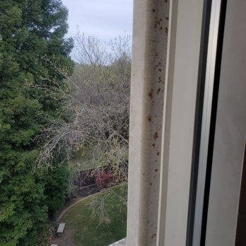 Lake Natoma Inn - Mold on the rail outside the window - Hotels Near Me - Folsom, California