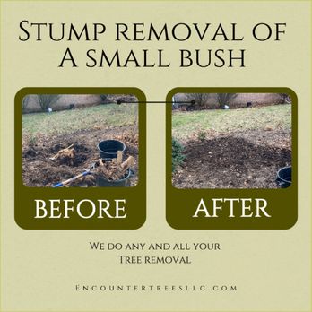 Encounter Trees - Tree Services Near Me - New Philadelphia, Ohio