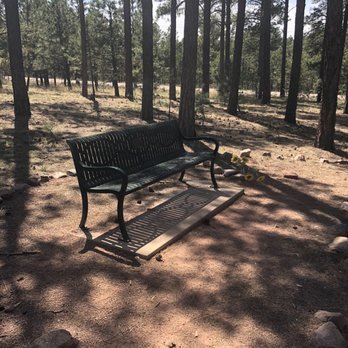 Black Forest Section 16 Trail - Shaded bench (1 mile) - Hiking Near Me - Black Forest, Colorado