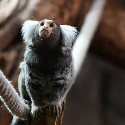 Tierpark Bochum