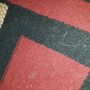 Lily Maid Cleaning - Photo taken after cleaning - Dog hair left in one of the carpets that was very obviously not vacuumed. - Home Cleaning Near Me - St. George, Utah