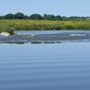 Photo of River Guide Kayaks