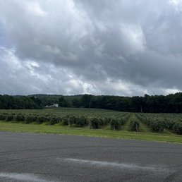 Vineyards Vineyards