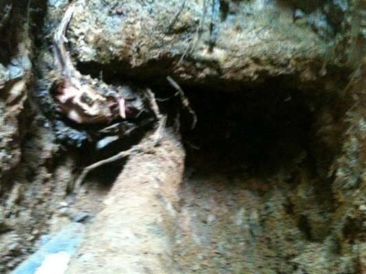 Slide of O'Neill Plumbing