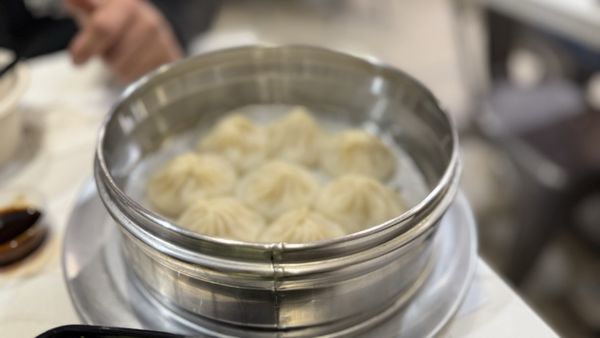 Luscious Dumplings by null