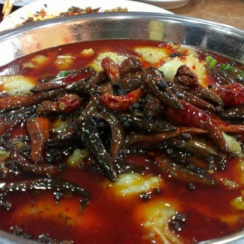 Panda Gourmet - Szechuan Near Me - Washington, DC, District of Columbia Panda Gourmet - Szechuan Near Me - Washington, DC, District of Columbia