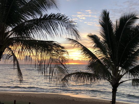 Sheraton Kauai Coconut Beach Resort by null