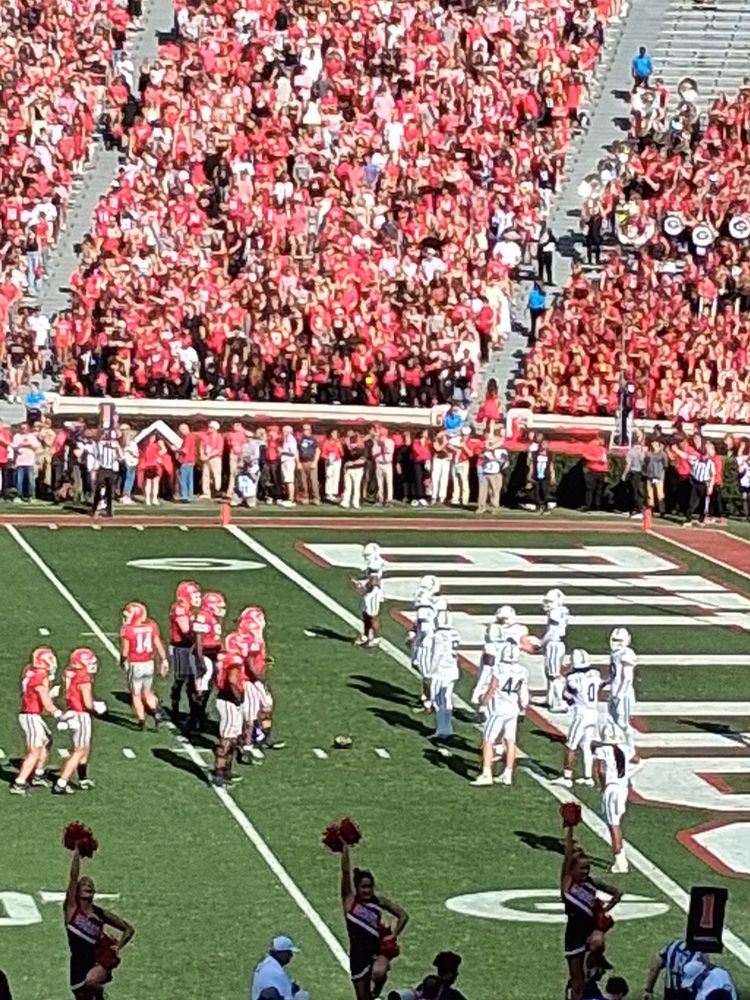 Georgia Bulldogs Football Logo
